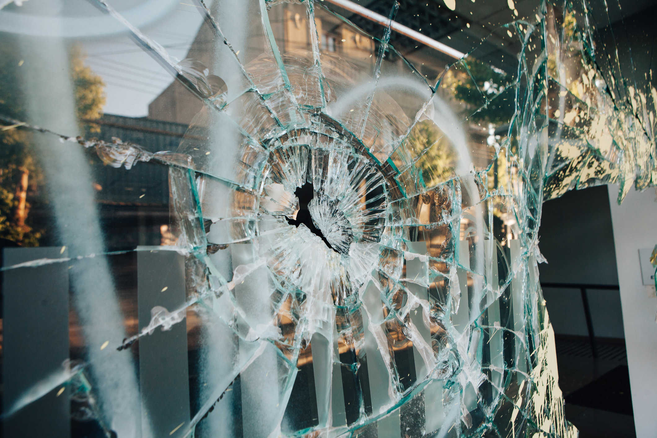 Burglary, Theft, and Vandalism